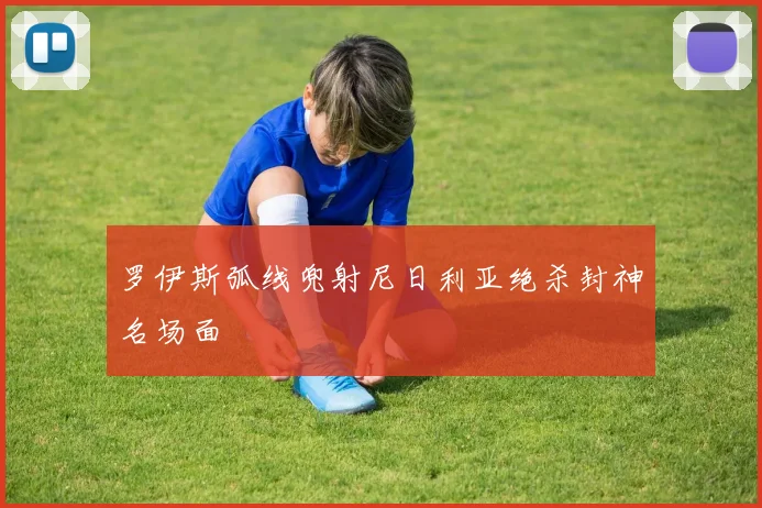 罗伊斯弧线兜射尼日利亚绝杀封神名场面