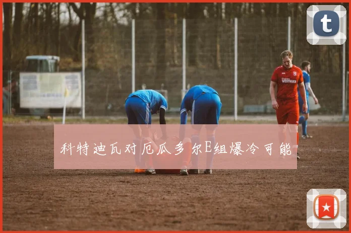 科特迪瓦对厄瓜多尔E组爆冷可能