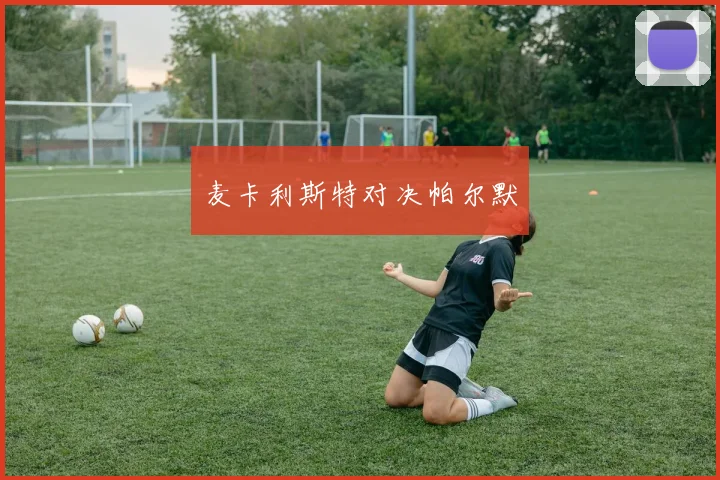 麦卡利斯特对决帕尔默