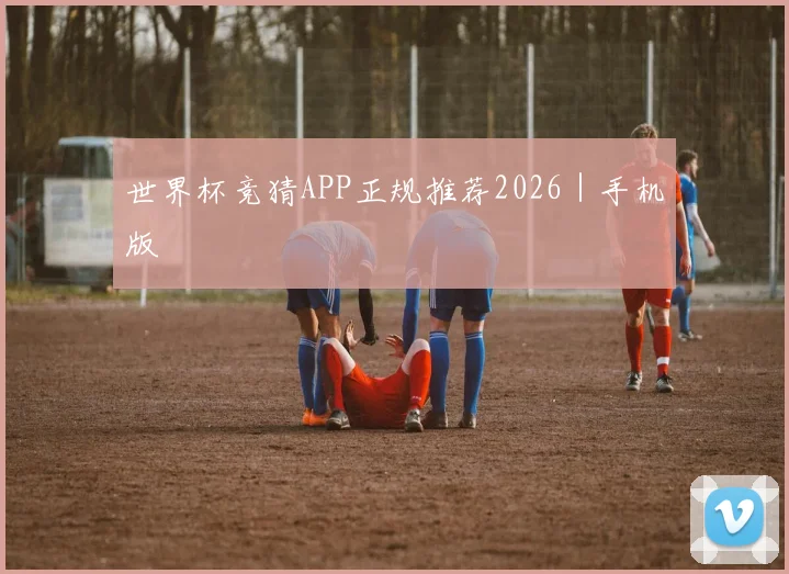 世界杯竞猜APP正规推荐2026｜手机版