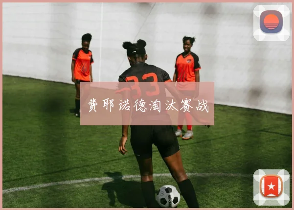 费耶诺德淘汰赛战