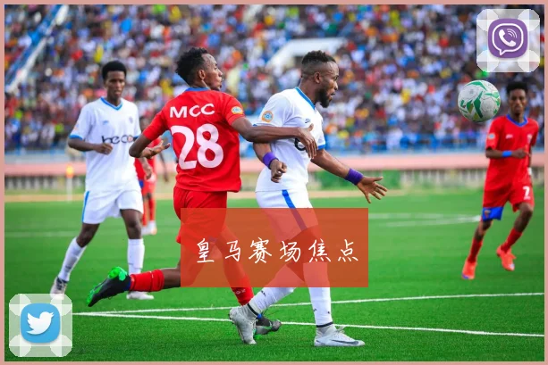 皇马赛场焦点
