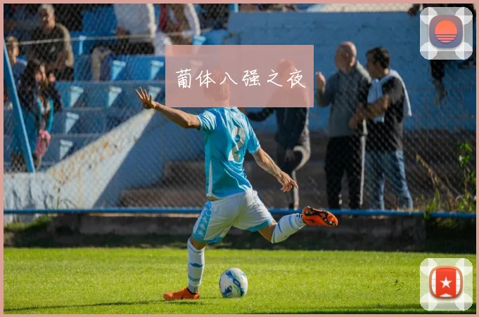 葡体八强之夜