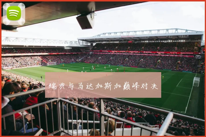 瑞典与马达加斯加巅峰对决