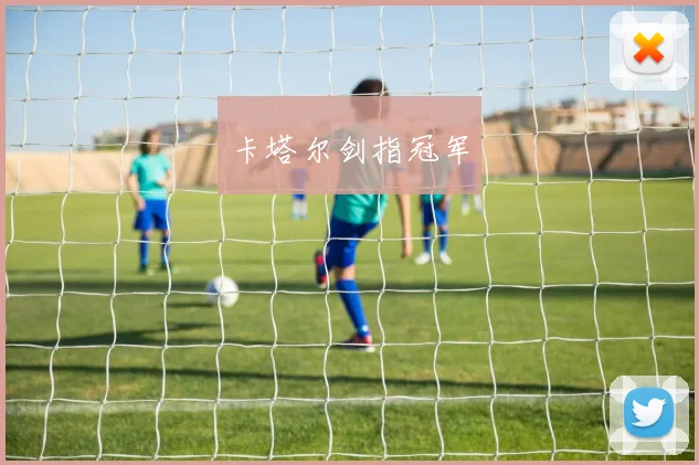 卡塔尔剑指冠军