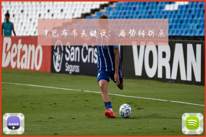 津巴布韦关键夜：局势转折点