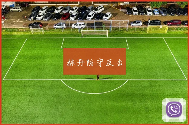 林丹防守反击