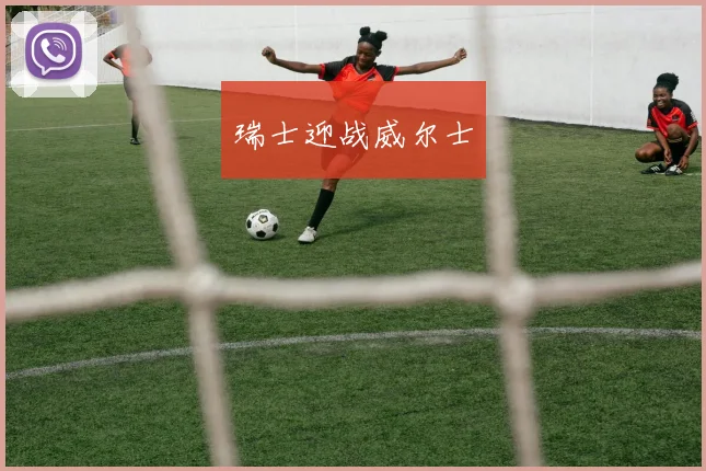瑞士迎战威尔士